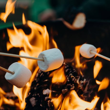 marshmallows roasting on fire
